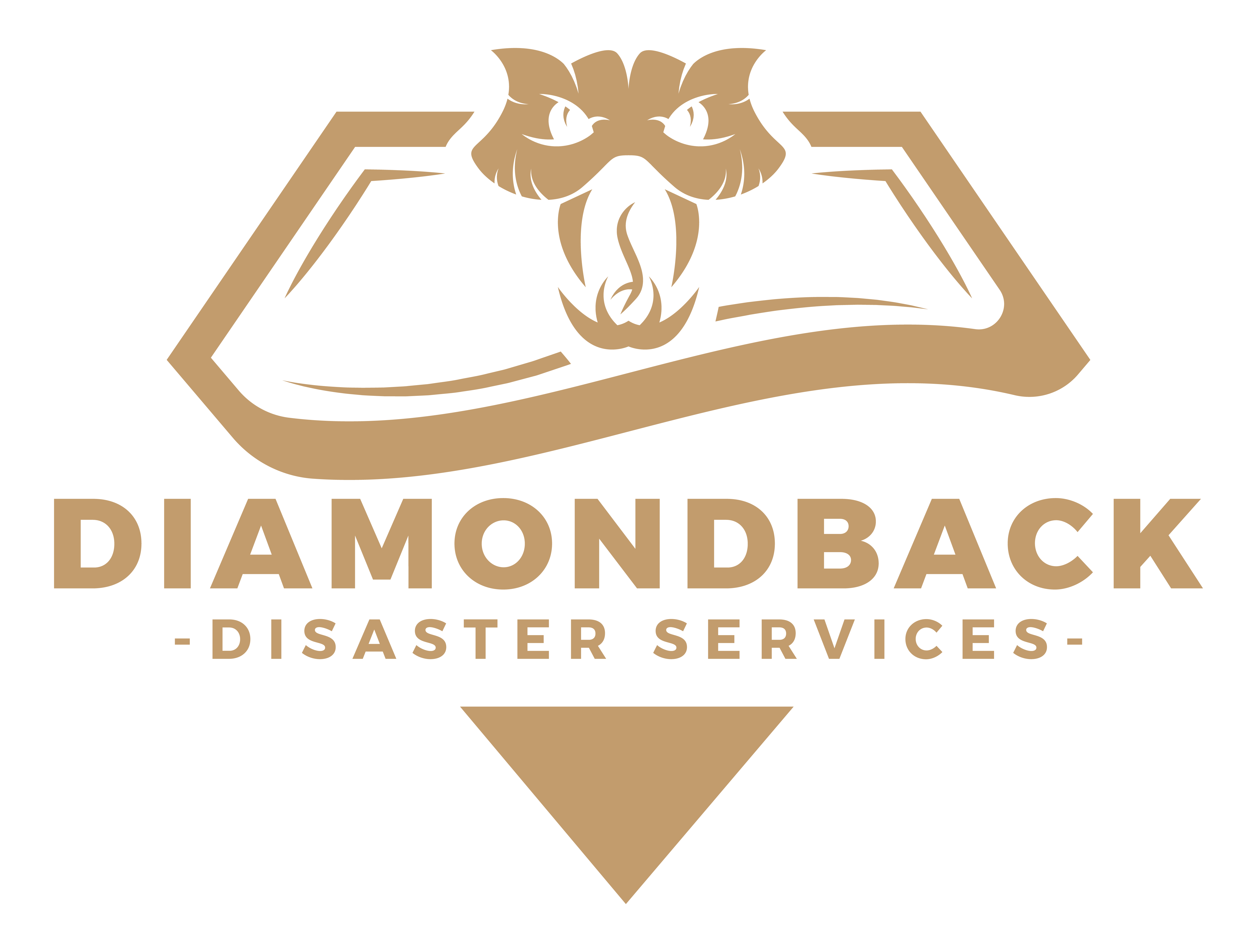 Diamondback Disaster Services